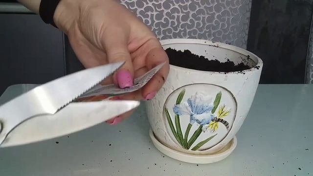 #ОГОРОД НА ПОДОКОННИКЕ Как вырастить салат дома смотреть онлайн