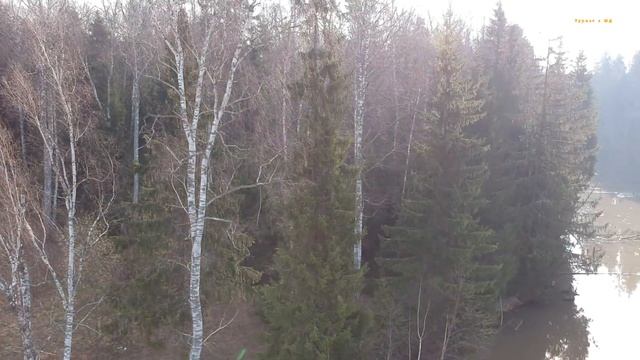 Морозовский пруд / Красивые места Подмосковья / Хотьково смотреть онлайн