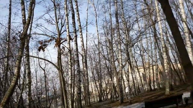 Тренировка группы Спартанская Миля. Мой отзыв о тренировке. смотреть онлайн
