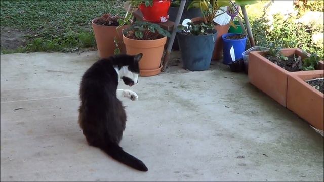 2013 Video Diary. DAY TWO HUNDRED AND FORTY. 28th August, 2013 смотреть онлайн