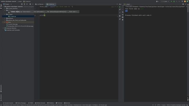 3. Input Function [Python Developer Course] смотреть онлайн