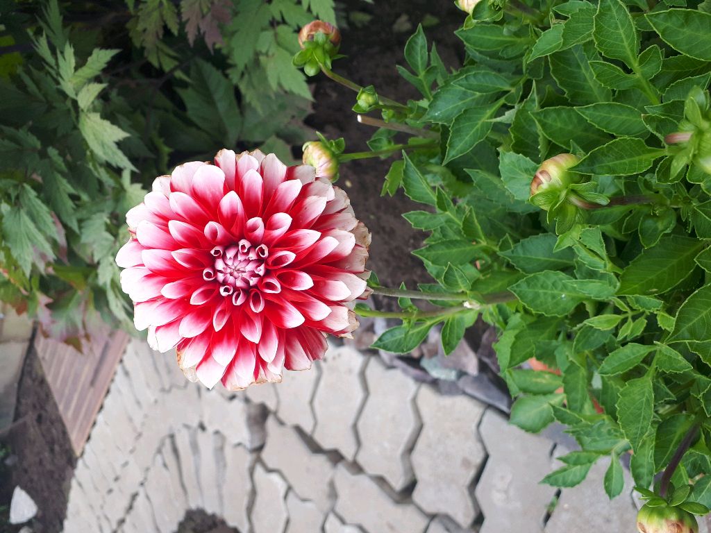 кудато идем!!!