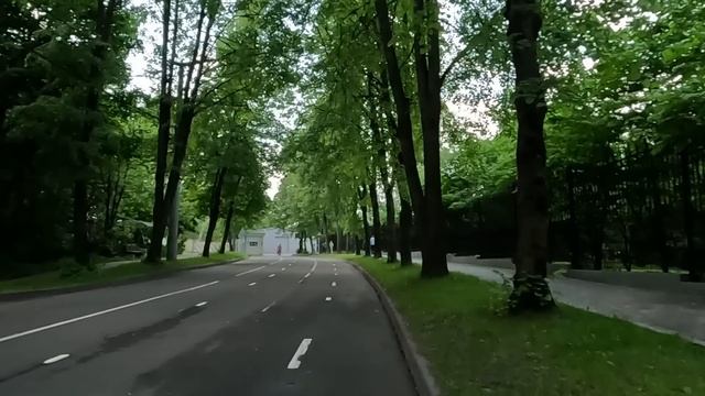 Миллионер составил оболтусу-сыну список невест для женитьбы, но придя на знакомство, богач оцепенел смотреть онлайн