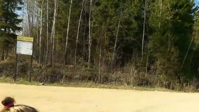 Влог/Открываем дачный сезон смотреть онлайн