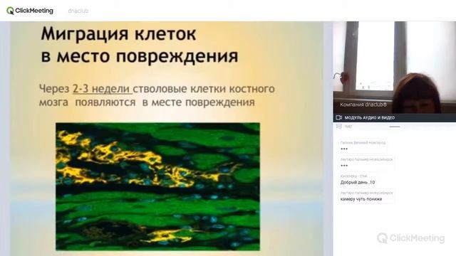 "Диэнай Karma - омоложение вашего организма" смотреть онлайн