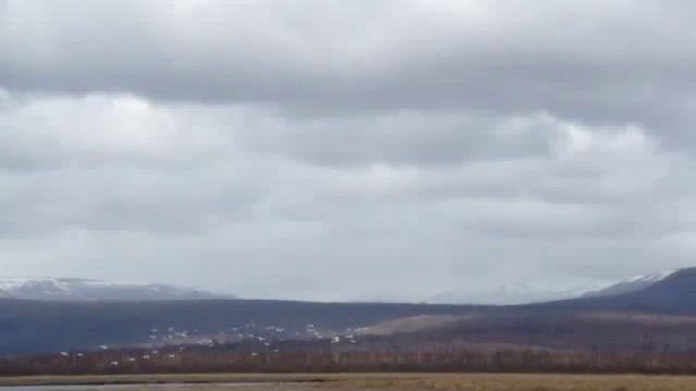 Охота на лебедей смотреть онлайн