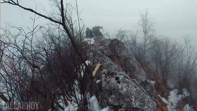 Ерди Корт смотреть онлайн