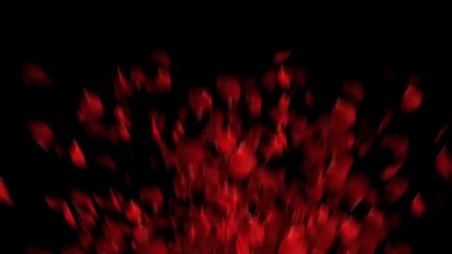 Футаж - Охапка лепестков роз - Preview смотреть онлайн