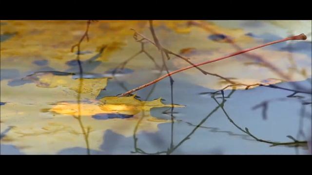 Ангелина Сахарова - Осень. стихи смотреть онлайн