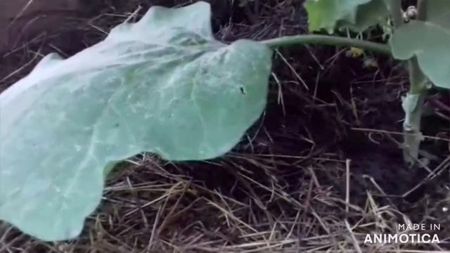 Спортивные Упражнения и Тренировки