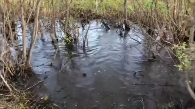 polaris 570 EFI VS бездороже!! смотреть онлайн