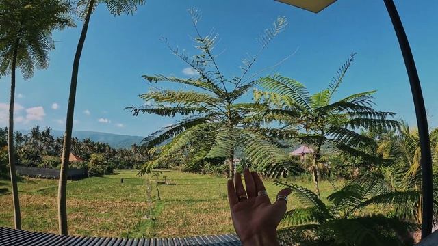 ПЛАВАНИЕ С ДЕЛЬФИНАМИ | КЛУБНИЧНАЯ ФЕРМА | ЗЕРКАЛЬНЫЕ ВОРОТА | БАЛИ 2023 смотреть онлайн