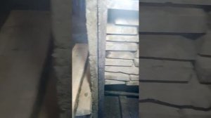 Сушим  доску за 4 дня качественно