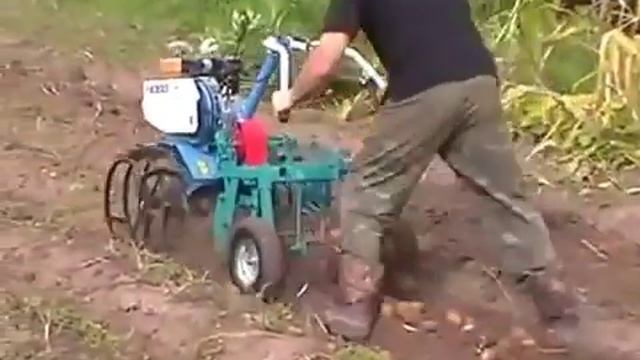 Картофелекопалка ККМ-1