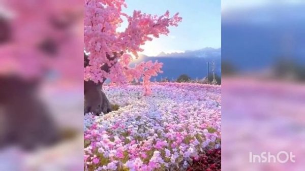 #Ramadan рамазан мубарак Рамадан нашид