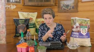 Хитрости посева земляники в феврале. Рассада  сезона 2020