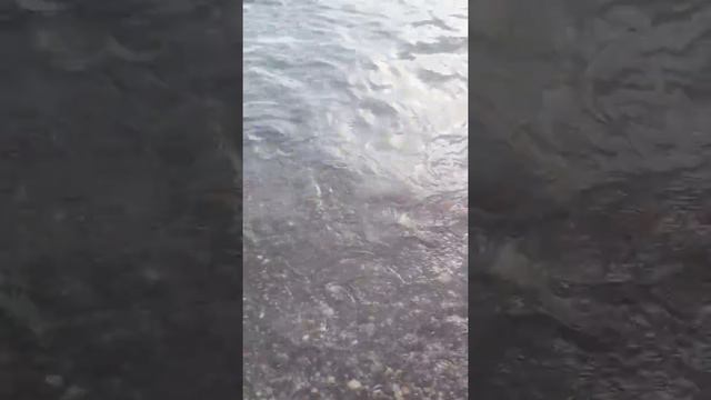 BLACK SEA ADLER TRAVEL ЧЕРНОЕ МОРЕ АДЛЕР СОЧИ ОТДЫХ МОРЕ ВОДА БЕЗМЯТЕЖНОСТЬ ОТПУСК РОЗА ХУТОР смотреть онлайн