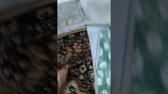 У меня дома незнакомцы смотреть онлайн