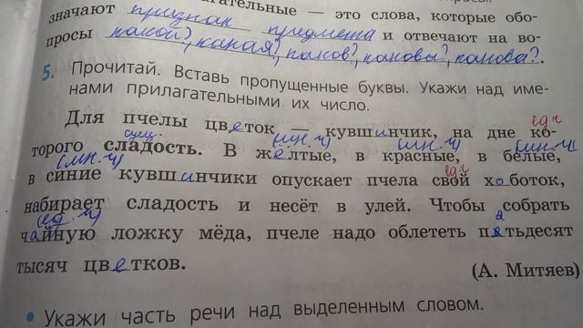 Проверяю проверочные работы по русскому языку смотреть онлайн