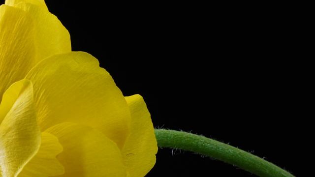 Prada Presents Prada FW23 Collection