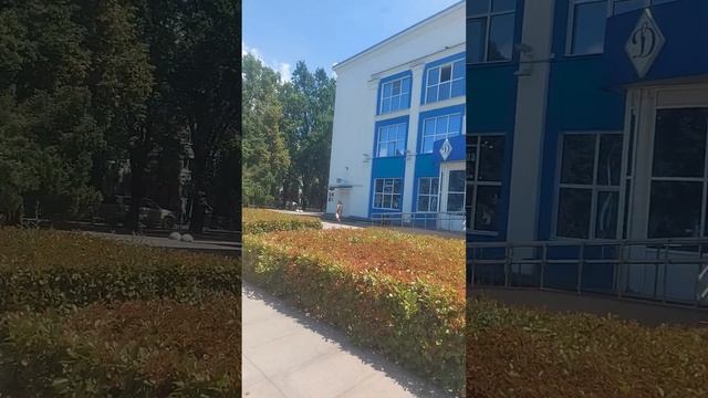 Дом спорт Динамо в Краснодаре смотреть онлайн