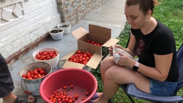 Дикие гуси! Остатки на огороде. Сельская жизнь. смотреть онлайн