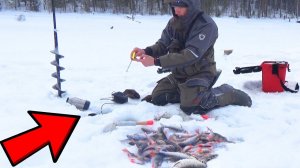 ДЛЯ ЗИМНЕЙ РЫБАЛКИ! Мои советы, опыт, рекомендации, выводы СИБИРИЯ
