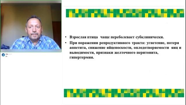 Важные аспекты сальмонеллеза птиц