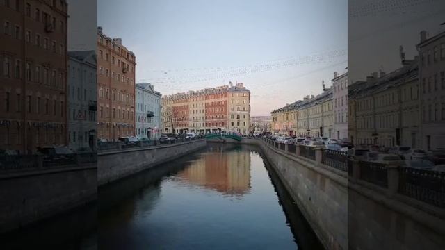 Альпаки из Перу смотрят закат в Питере смотреть онлайн