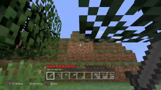 Dana en Rix spelen Minecraft смотреть онлайн
