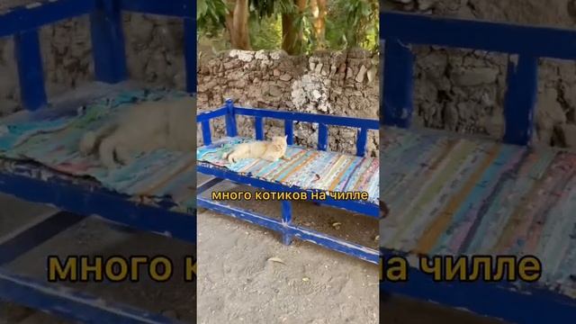 НАСТОЯЩИЙ ЕГИПЕТ/НИЛ/АСУАН/ОТДЫХ В ЕГИПТЕ #нил #асуан #египет смотреть онлайн