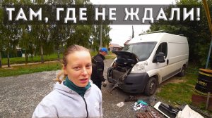 ДУМАЛ, ЧТО ВСЁ ПРОПАЛО, НО ПРИШЁЛ СОСЕД И...Готовим блюдо, полностью из своего хозяйства.