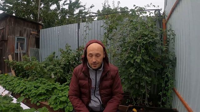 Проблемы откуда не ждали. Ломаю и вывожу сарай.