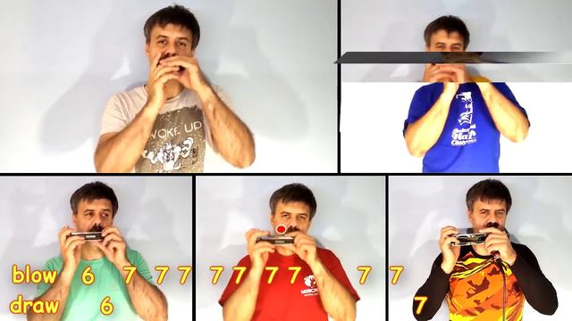 Baby Shark on Harmonica смотреть онлайн
