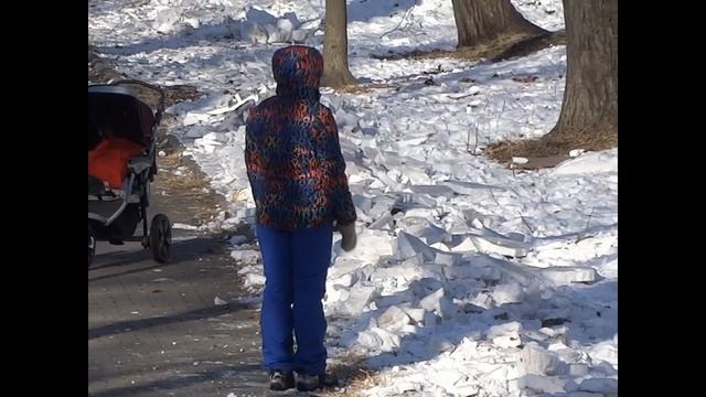 Дамы с собаками Владивостокского уезда. смотреть онлайн