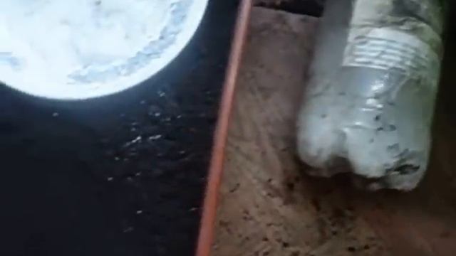 ПЕТУНИЯ, КАК ПРИГОТОВИТЬ СВОЙ ГРУНТ, ЧТОБЫ РАССАДА БЫЛА КРЕПКОЙ И ЗДОРОВОЙ Видеоурок Ольги Черново смотреть онлайн