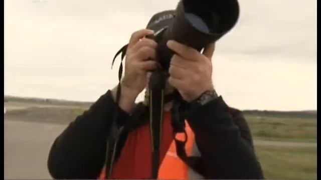 Фотосессия крылатых машин. Боинги и аэробусы стали моделями для уральских споттеров смотреть онлайн