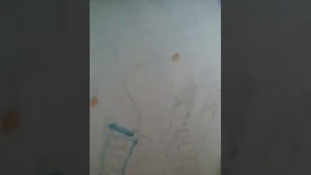 Моя поездка#мои любимые песни#Вк смотреть онлайн