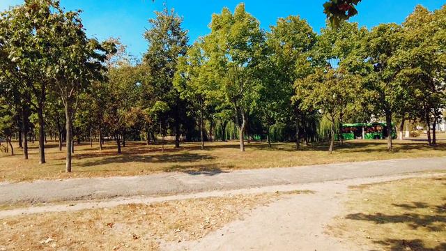 1000009582.mp4 смотреть онлайн
