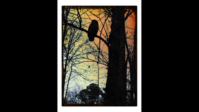 The Oracle Report - Special Report - Full Moon in Virgo - February 19, 2019 смотреть онлайн