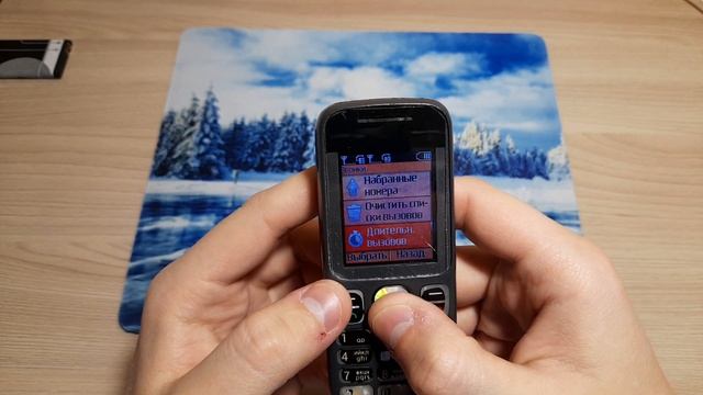 Обзор Nokia 101