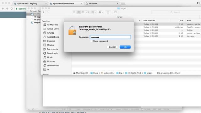 Setting Up a Secure Apache NiFi Registry смотреть онлайн