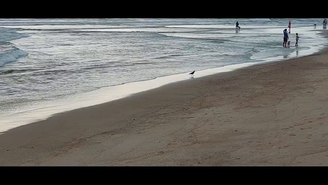 GOA BEACH EVENING WALK#GOA DIARY's #EP3 смотреть онлайн