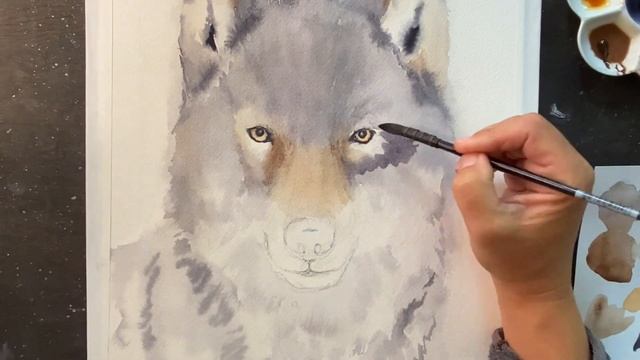 Watercolor Gray Wolf // Timelapse Portrait // Animal Painting смотреть онлайн