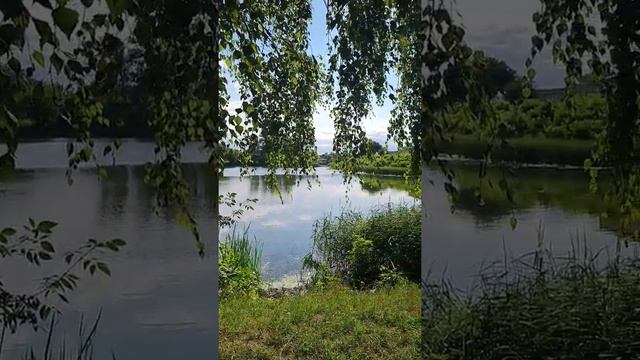 Озеро возле Брестской крепости смотреть онлайн