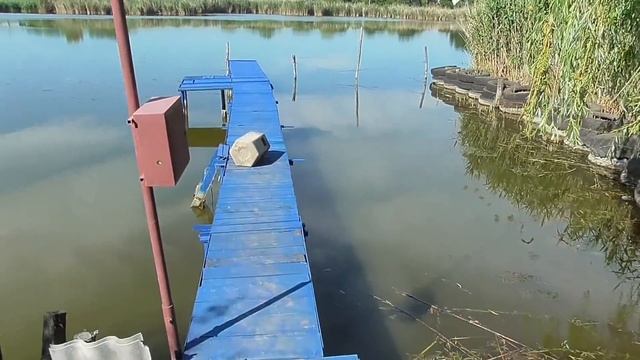 Едем в Москву! День 1. смотреть онлайн