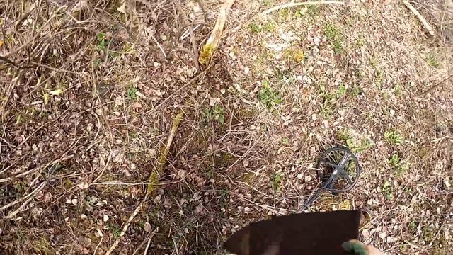 В одно жало выгодней!