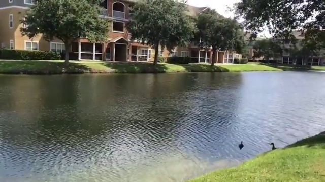 ??а где мы жили ??? В субтропиках ??день8 август2019 смотреть онлайн