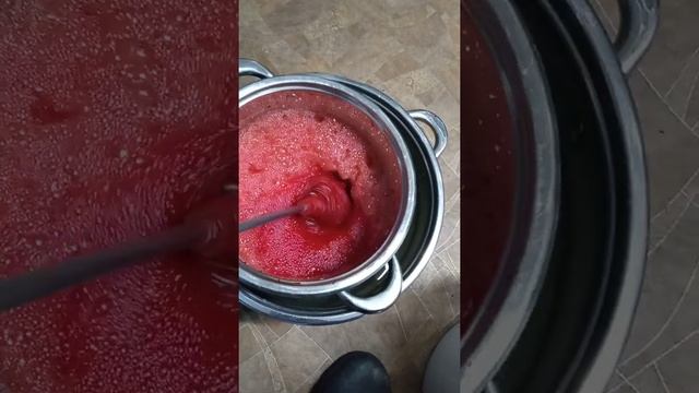 Выращивание пиявок. Приготовление крови КРС для кормления пиявок. смотреть онлайн