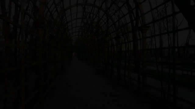 Санкт-Петербург. Самый старинный парк Северной столицы - Летний сад. смотреть онлайн